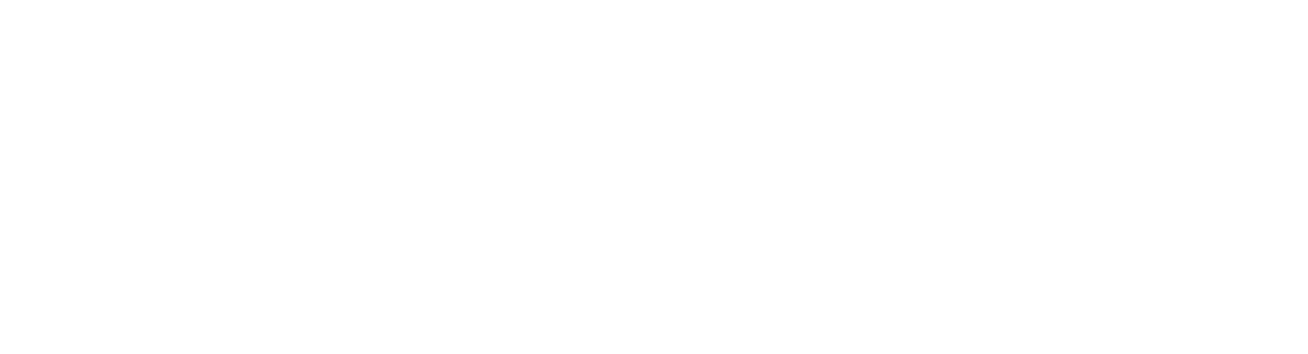 Flywithus